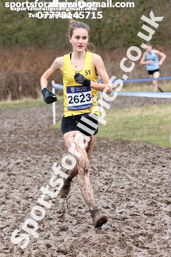 Womens under-20s 2018 British Inter Counties Cross Country Champs., Prestwold Hall, Loughborough. Photo: David T. Hewitson/Sports for All Pics